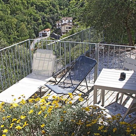 La Terrazza Con L'Ulivo - Guesthouse Con Terrazza E Vista Sul Golfo Dei Poeti La Spezia Eksteriør billede