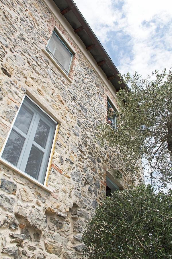 La Terrazza Con L'Ulivo - Guesthouse Con Terrazza E Vista Sul Golfo Dei Poeti La Spezia Eksteriør billede